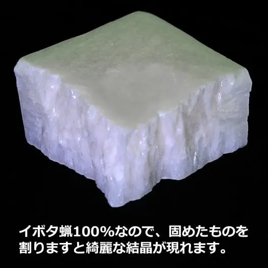 イボタ蝋 粉末 (100g) 100g